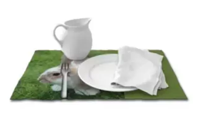 Mit Fotos oder Texten bedruckte Tischsets bestellen Textiles Tischset selbst gestalten