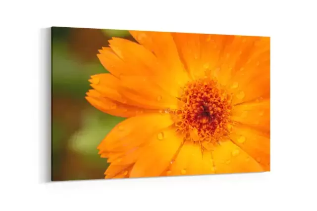 Textile Highlights für Ihre vier Wände Textile Leinwand für Ihr Wohnzimmer