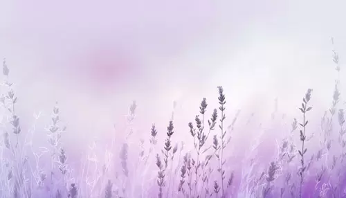Digital Lavender – Trendfarbe des Jahres