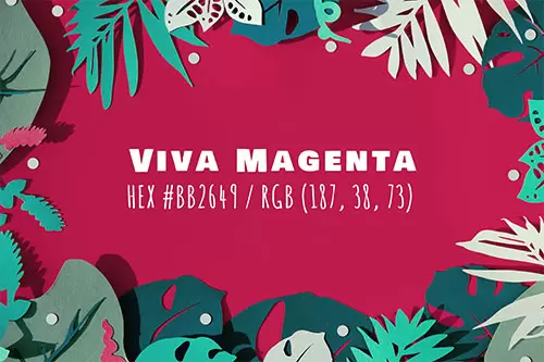 Viva Magenta - Pantone Farbe des Jahres 2023