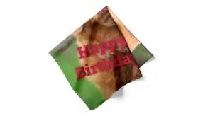 Furoshiki individuell bedrucken lassen Textile Geschenkverpackung